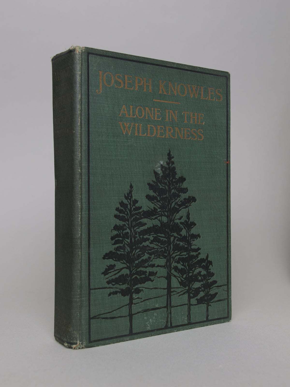 Alone in the Wilderness
