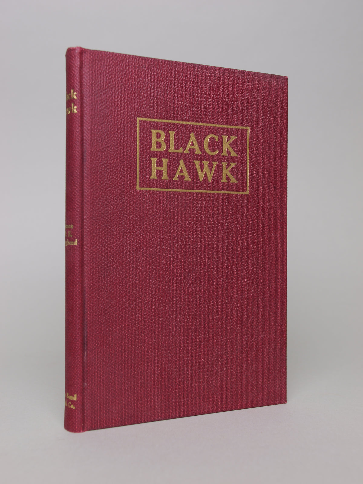 Black Hawk: A Romance on the Black Hawk War