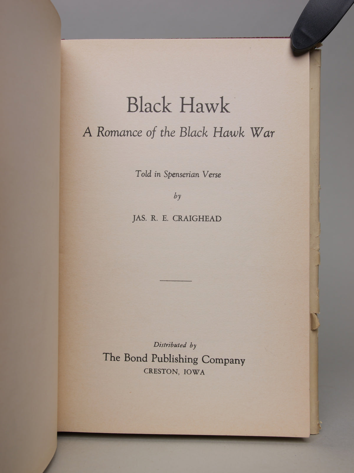 Black Hawk: A Romance on the Black Hawk War